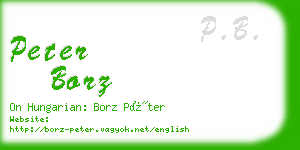 peter borz business card